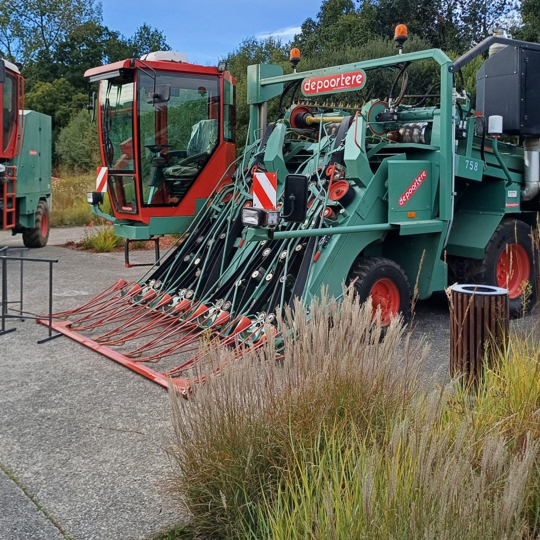 cuma breizh culture du lin