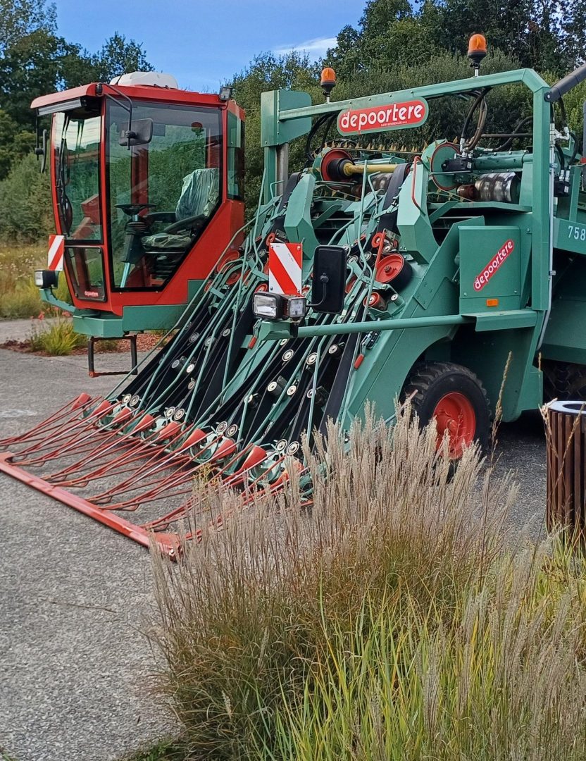 cuma breizh culture du lin