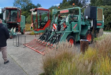 cuma breizh culture du lin